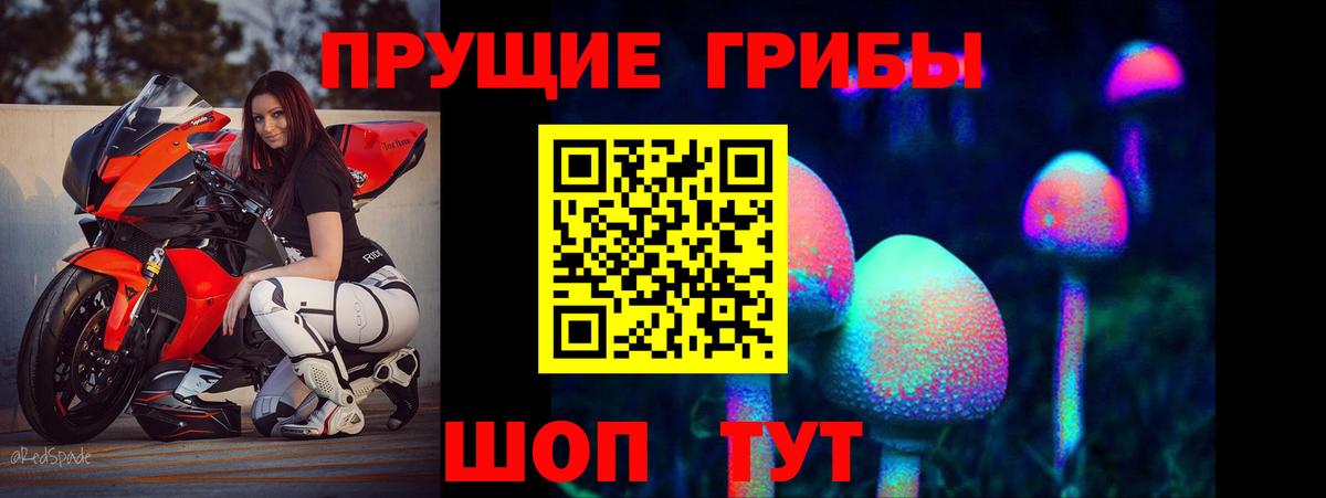 Псилоцибиновые грибы Psilocybine cubensis Медногорск