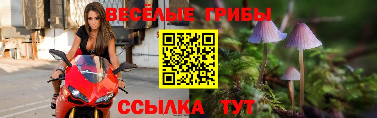 Галлюциногенные грибы Psilocybe  Вход с VPN  Медногорск  дарнет шоп  Галлюциногенные грибы Cubensis 